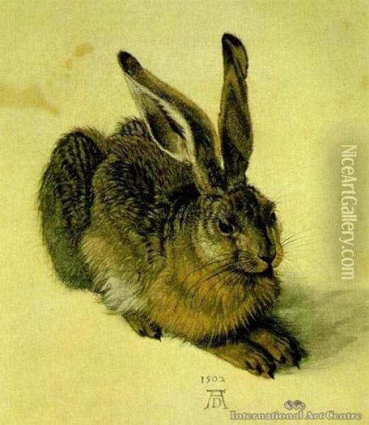 A Young Hare Oil Painting - Albrecht Durer