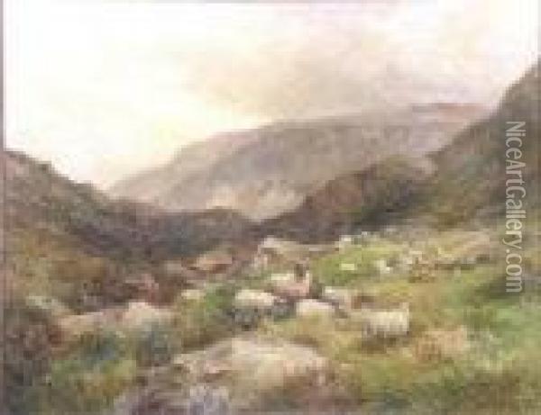 Highland Sheep Oil Painting - David Bates