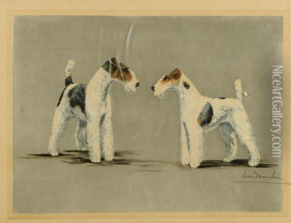 Fox Terrier Oil Painting - Leon Danchin
