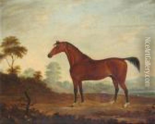 A Bay Hunter In A Landscape Oil Painting - Benjamin Marshall