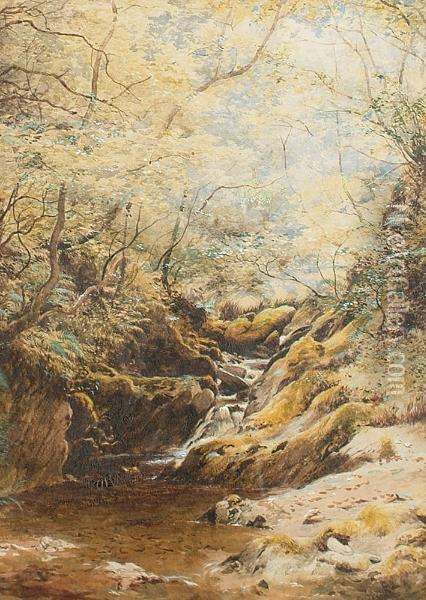 A Woodland Stream. Oil Painting - Thomas Fairbairn