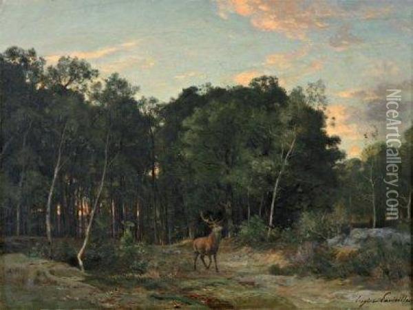 Futaie De La Plaine Du Rosoir,fontainebleau, Le Soir Oil Painting - Eugene Antoine Samuel Lavieille
