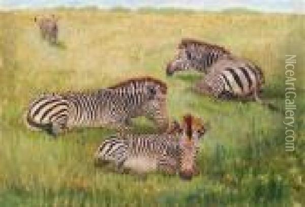 Ruhende Zebras Oil Painting - Wilhelm Kuhnert