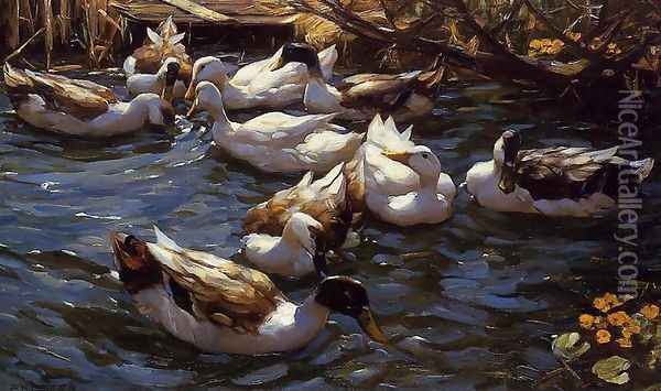 Ducks in the Reeds under the Boughs Oil Painting - Alexander Max Koester