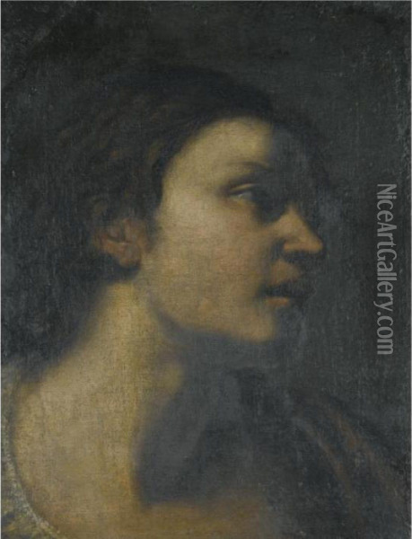 A Study Of A Head Oil Painting - Guercino