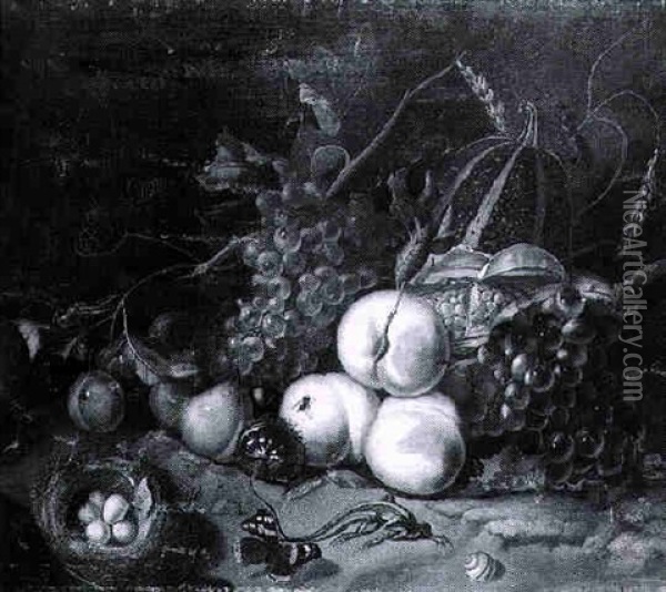 Still Life With A Bunch Of Grapes, Vines, Peaches And Other Fruit, And Insects Oil Painting - Willem Verbeet