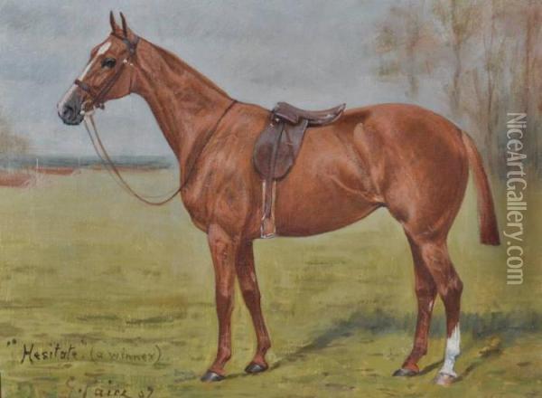 Portrait Of A Chestnut Race Horse 
