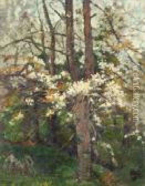 Blossoming Trees Oil Painting - Thomas Bond, Tom Walker