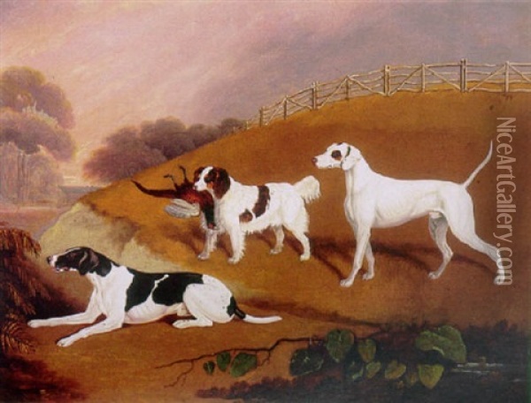 Three Games Dogs With A Pheasant In A Landscape Oil Painting - Edwin Cooper