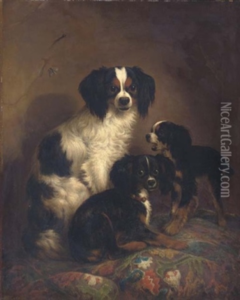 Three King Charles Spaniels Oil Painting - August Knip