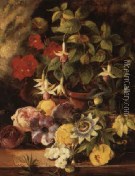 A Still Life With Geranium And Fuschia And Other Flowers On A Ledge Oil Painting - Henriette Gertrude Knip