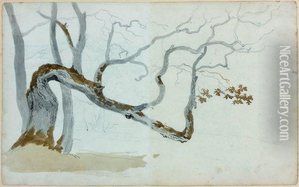 Une Paire : Etudes D'arbres Oil Painting - Louis Auguste Brun De Versoix