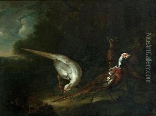 Pheasants In A Wooded Glade Oil Painting - Ferdinand Phillip de Hamilton