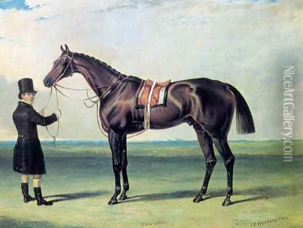 Bay Colt Chorister 1831 Oil Painting - John Frederick Herring Snr