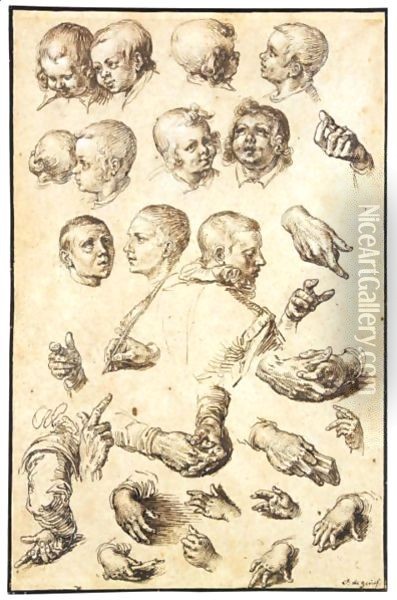 Sheet Of Studies Of Heads, Arms, Hands And A Youth Seen From Behind Oil Painting - Jacques de Gheyn