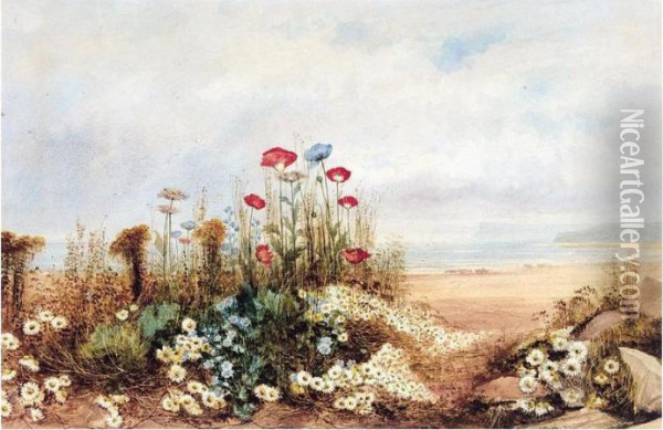 Wild Flowers And Poppies With A Distant View Of Fairhead, Co. Antrim Oil Painting - Andrew Nicholl