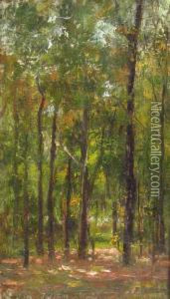 Forest Oil Painting - Juan Alexandru Paraschivescu