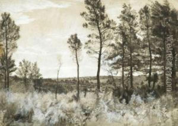 Paysage De Campagne A La Lisiere D'un Bois De Pins Oil Painting - Ceneri Morand