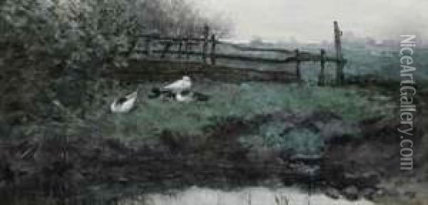 Ducks In The Grass Oil Painting - Geo Poggenbeek