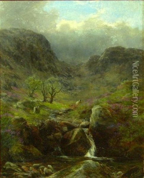 Sheep Above A Highland Brook Oil Painting - James Faed the Younger