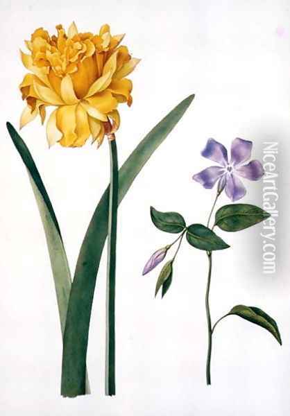 Double Daffodil and Periwinkle Oil Painting - Nicolas Robert