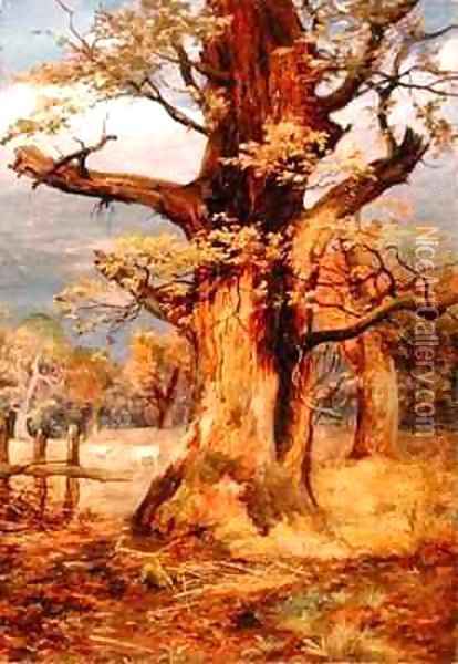 Blasted Oak Galloway Oil Painting - James Jnr Faed
