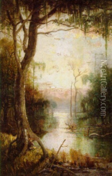 Louisiana Swamp Scene Oil Painting - George Ernest Colby