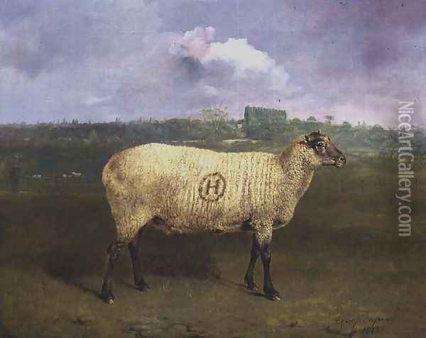 A Prize Ewe with monogram H belonging to Mr J.A. Houblon Hallingbury Place Essex 1812 Oil Painting - Abraham Cooper