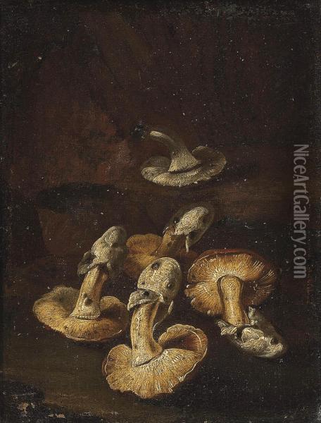 Mushrooms In A Landscape Oil Painting - Simone Del Tintore