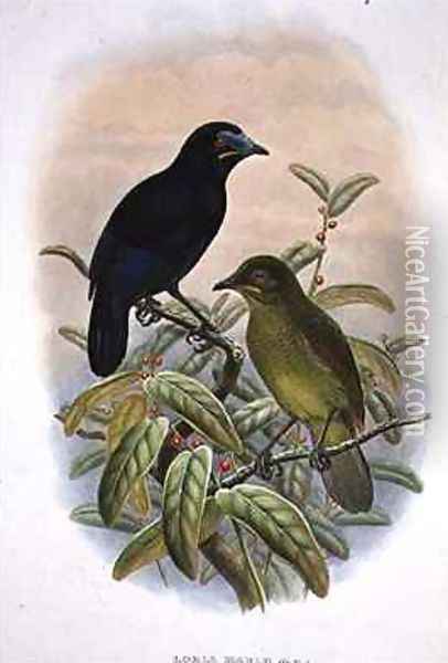 Loria Loriae Lorias Bird of Paradise Oil Painting - William M. Hart