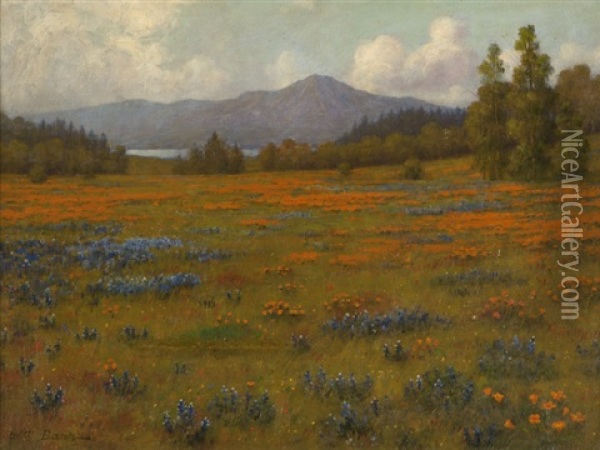 Poppy And Lupine Landscape Oil Painting - William Barr