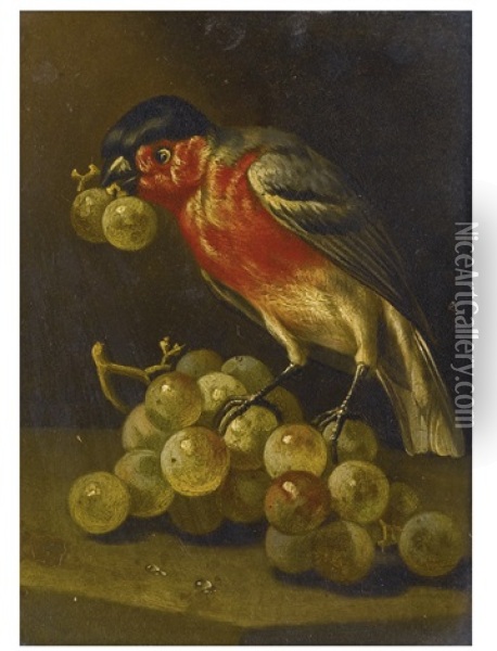 A Bullfinch With Grapes Oil Painting - Tobias Stranovius