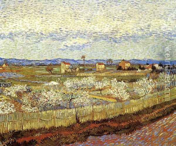 La Crau With Peach Trees In Blossom Oil Painting - Vincent Van Gogh