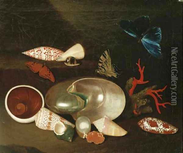 A still life of shells and butterflies a Nautilus Oil Painting - Philipp Sauerland
