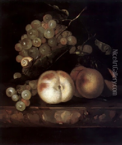 Still Life Of Peaches And Grapes, With A Snail Oil Painting - Willem Van Aelst