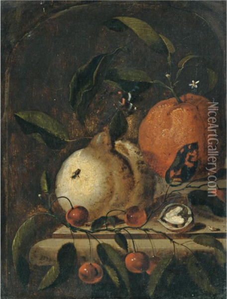 A Still Life With A Lemon, And Orange And A Walnut Together On A Ledge Oil Painting - Marten Nellius