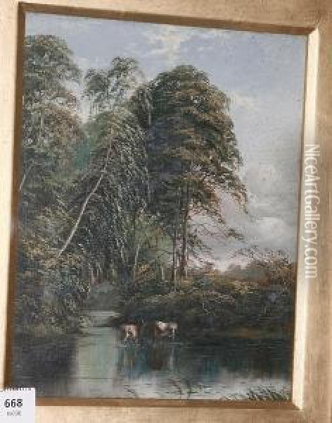 Cattle Watering In A Woodland Stream Oil Painting - J. Harris