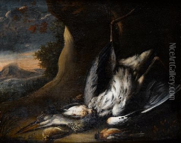 A Dead Crane And Other Birds Before An Open Landscape Oil Painting - Baldassare De Caro