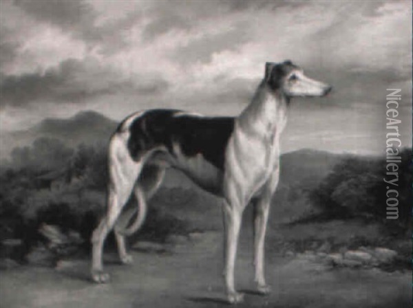 A Greyhound In A Highland Landscape Oil Painting - James Henry Beard