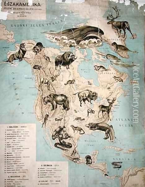 Map of animals in North America Oil Painting - Janos Balint