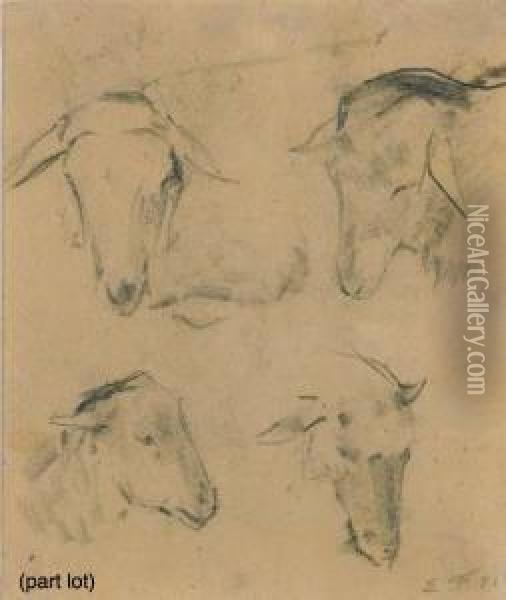 Study Of Sheep Heads Oil Painting - Emile Friant