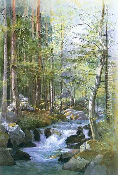 Torrent in Wood behind Mill Dam, Vahrn near Brixen, Tyrol Oil Painting - William Stanley Haseltine
