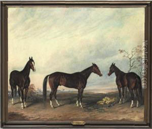 Dexter Represented In Three Positions Oil Painting - Edward Troye
