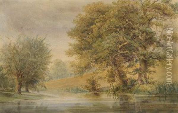 Trees On A River Bank Oil Painting - John Steeple