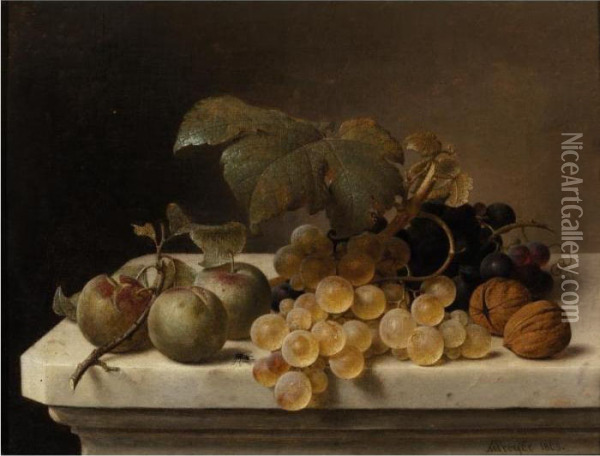 Still Life With Lady Apples, Grapes, And Walnuts Oil Painting - Johann Wilhelm Preyer