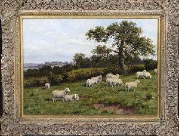 Sheep In A Meadow Oil Painting - Joseph Dixon Clark