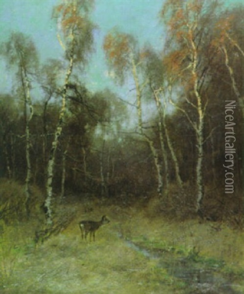 Reh Im Birkenwald Oil Painting - August Fink