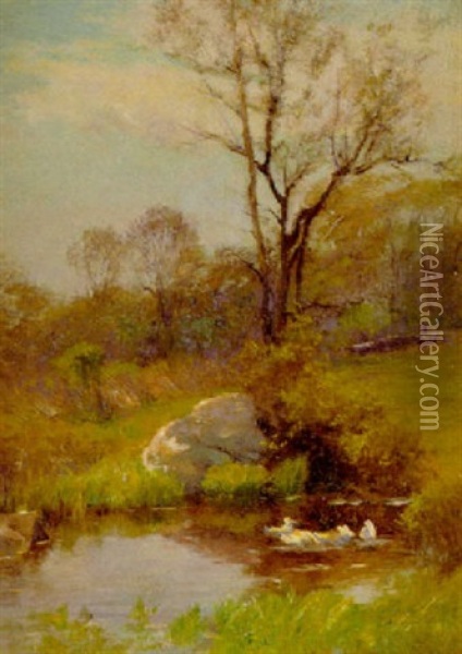 Ducks On A Pond Oil Painting - Walter Clark