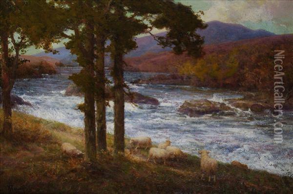 Sheep By Ahighland River Oil Painting - Alexander Young