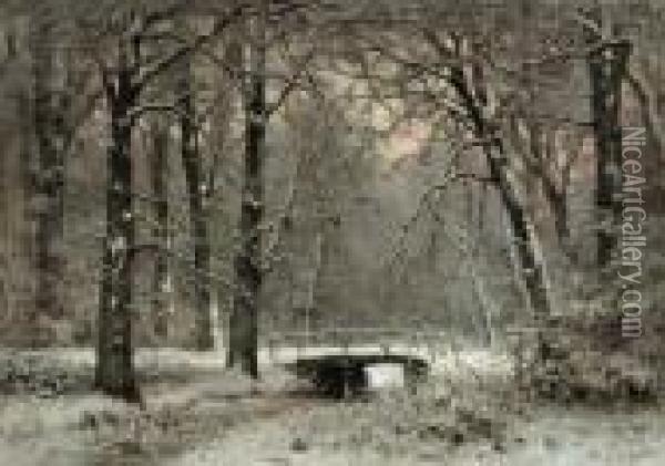 Haagsche Bos In Winter Oil Painting - Louis Apol